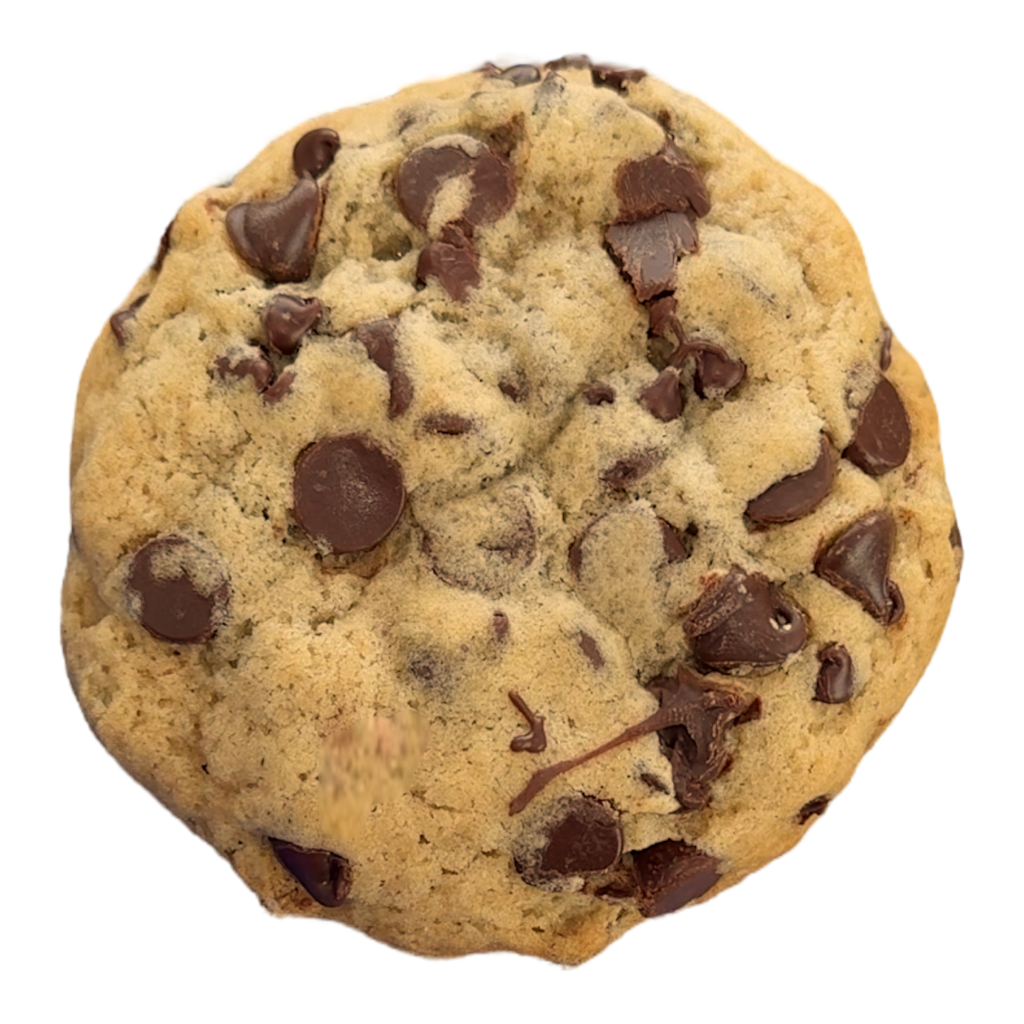 "The Boss" Chocolate Chip